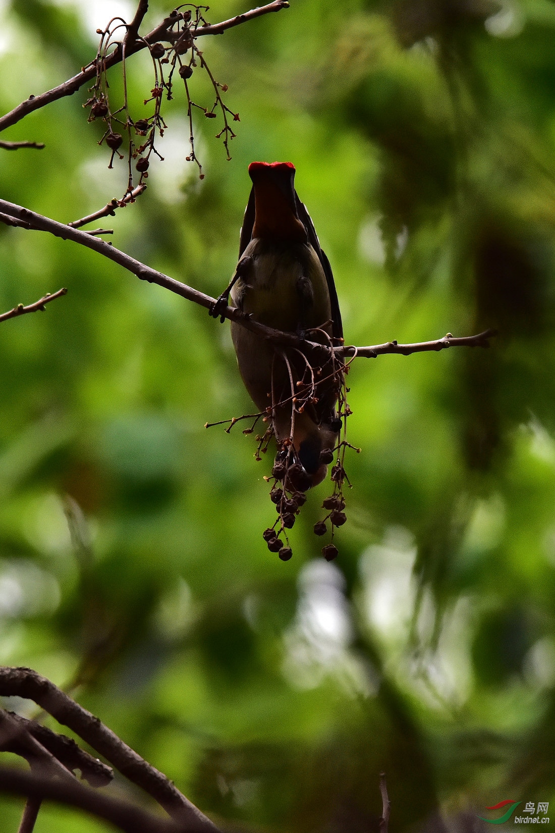 DSC_0310.JPG