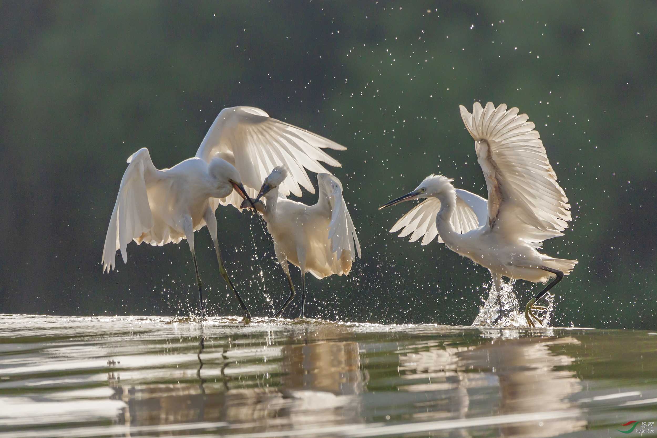 IMG_1055 ����.jpg