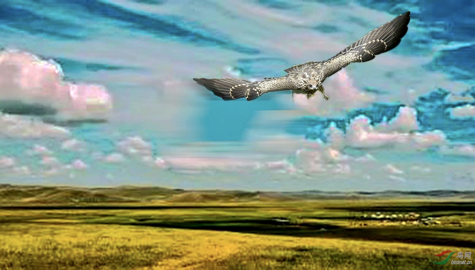A5EED12E-0423-4D34-B3DC-28F608A47B80.jpeg
