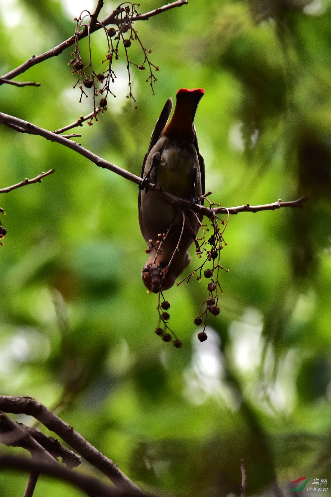 DSC_0313.JPG