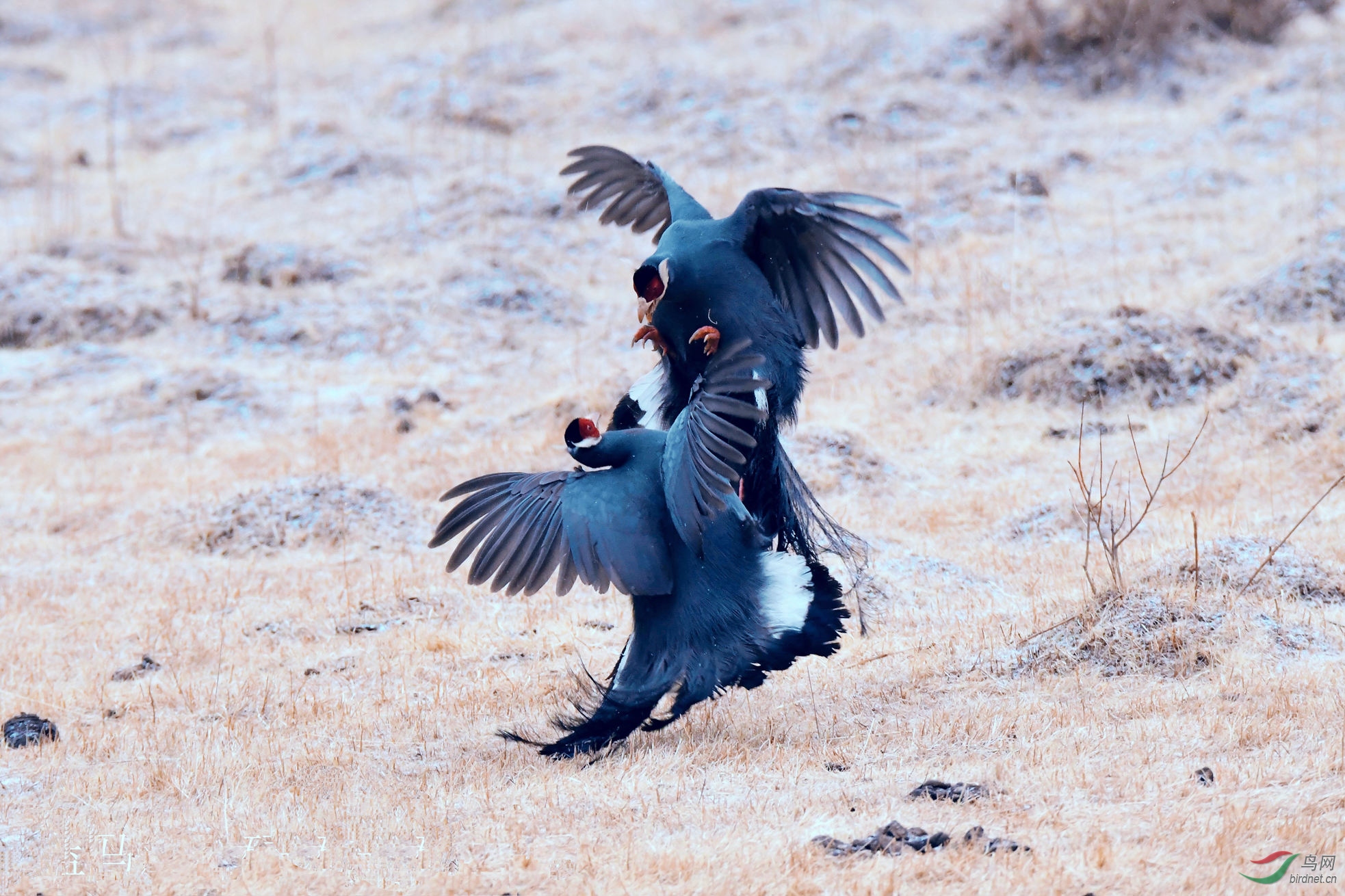 ������2019.03.13 ������µ�����