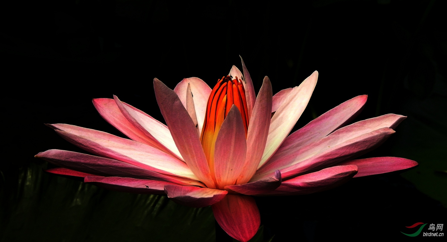 DSCN8007.JPG