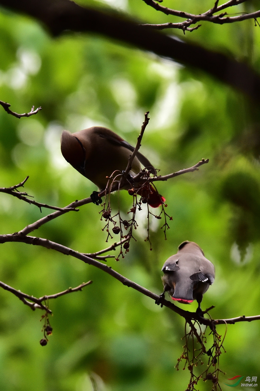 DSC_0319.JPG
