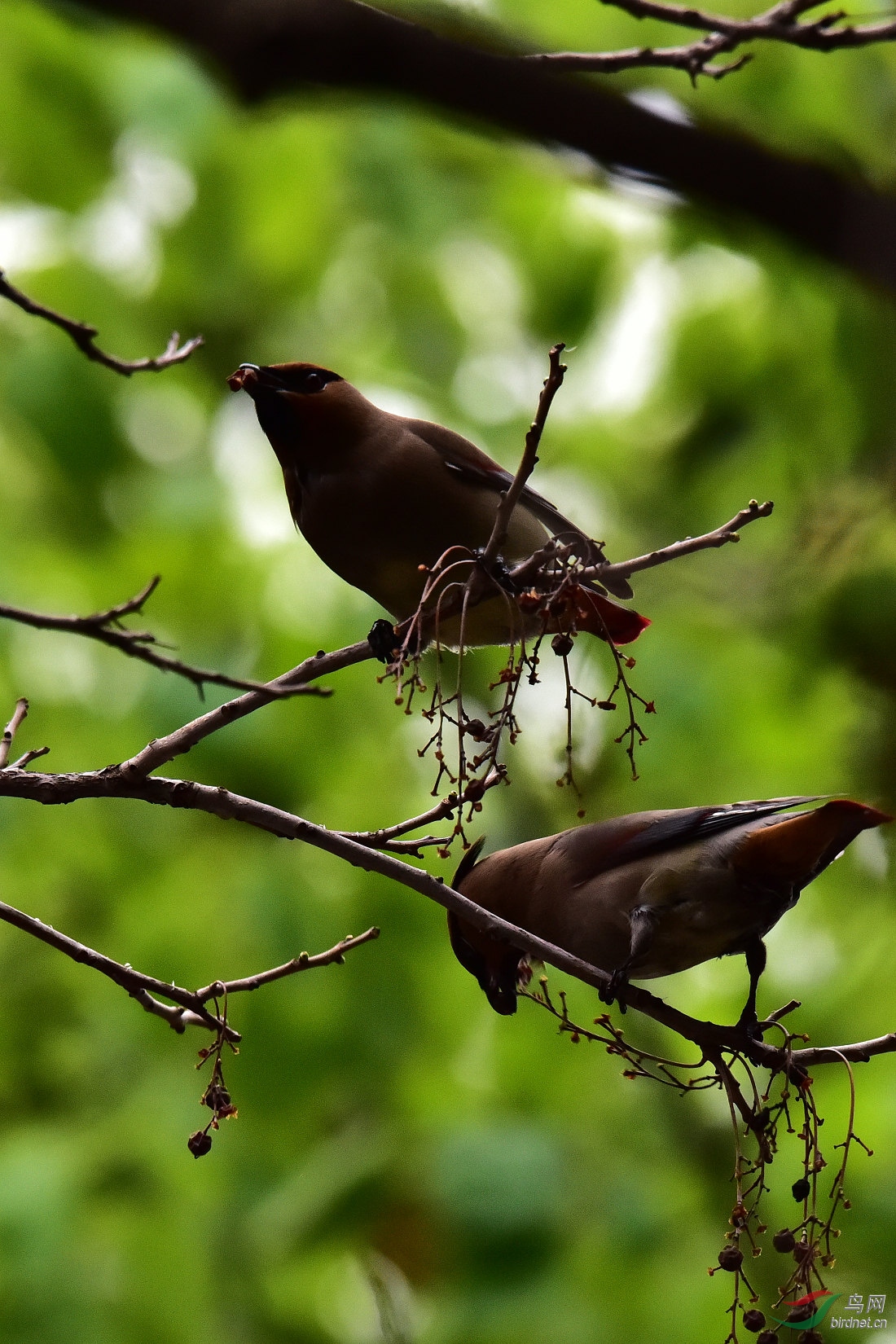 DSC_0323.JPG