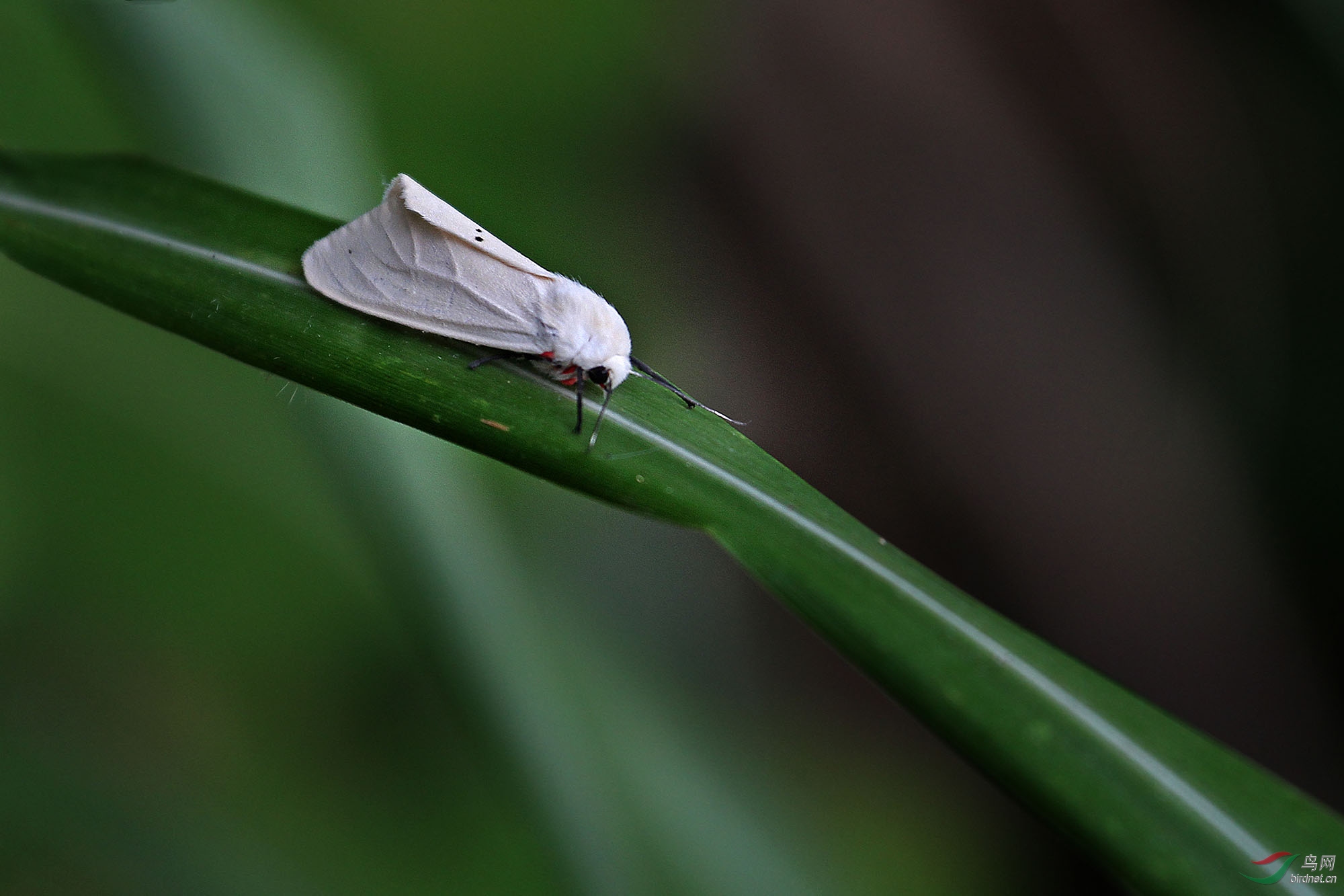 IMG_6345�ƶ�.jpg