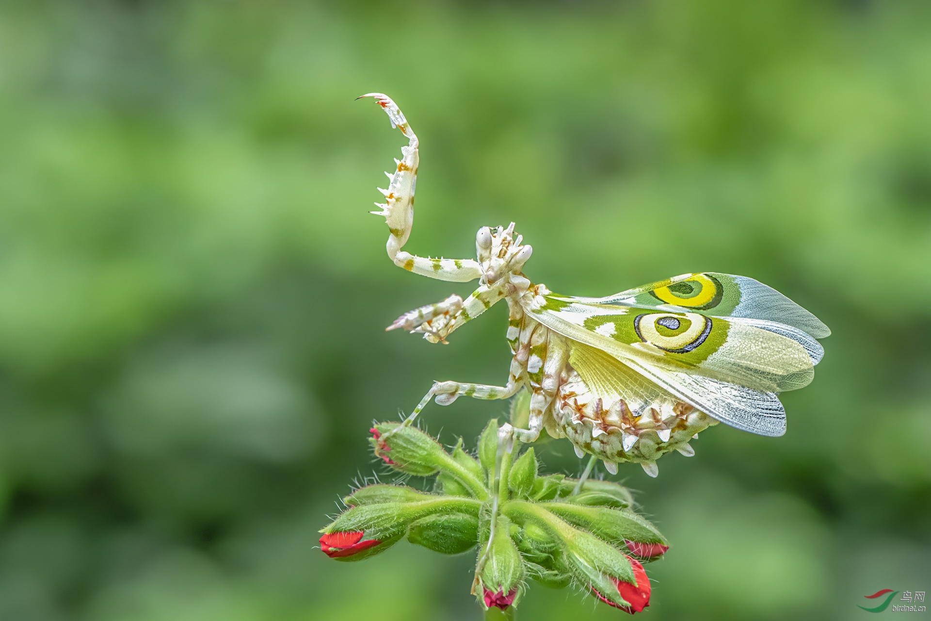 DSC_0341.jpg