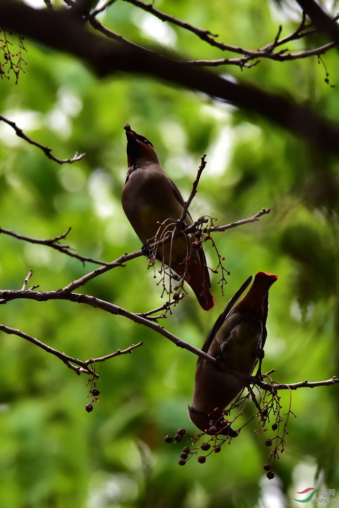 DSC_0327.JPG