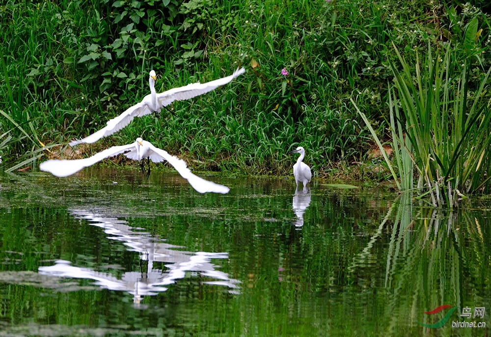 DSCF8845.1.jpg