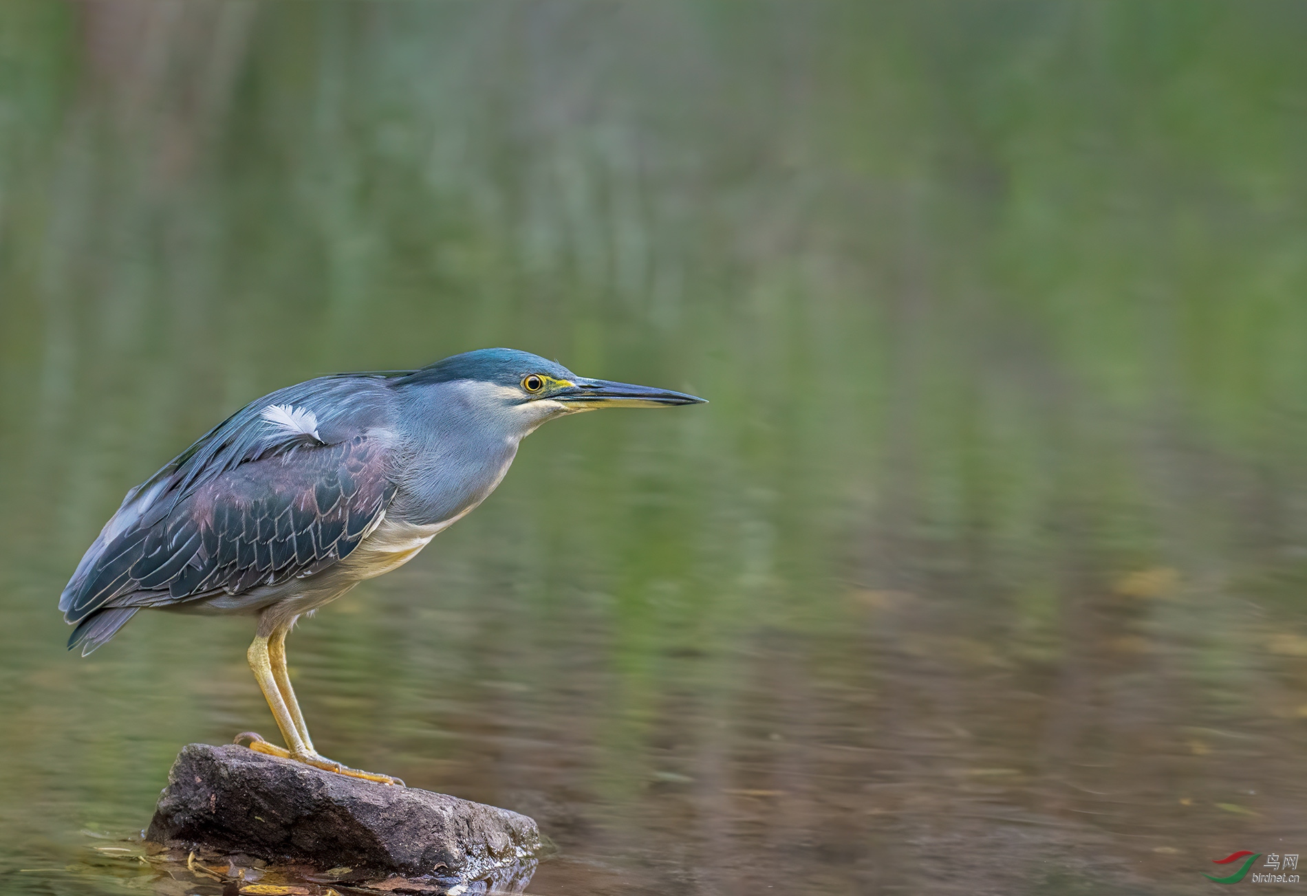 DSC_1571.jpg