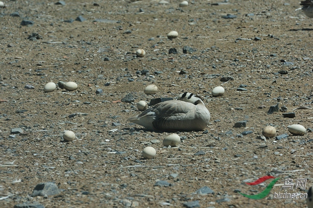 DQ1_0162.jpg