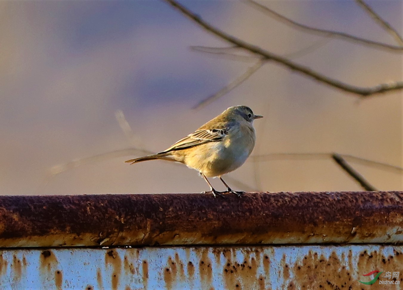 098�л��̳�ݺ .jpg