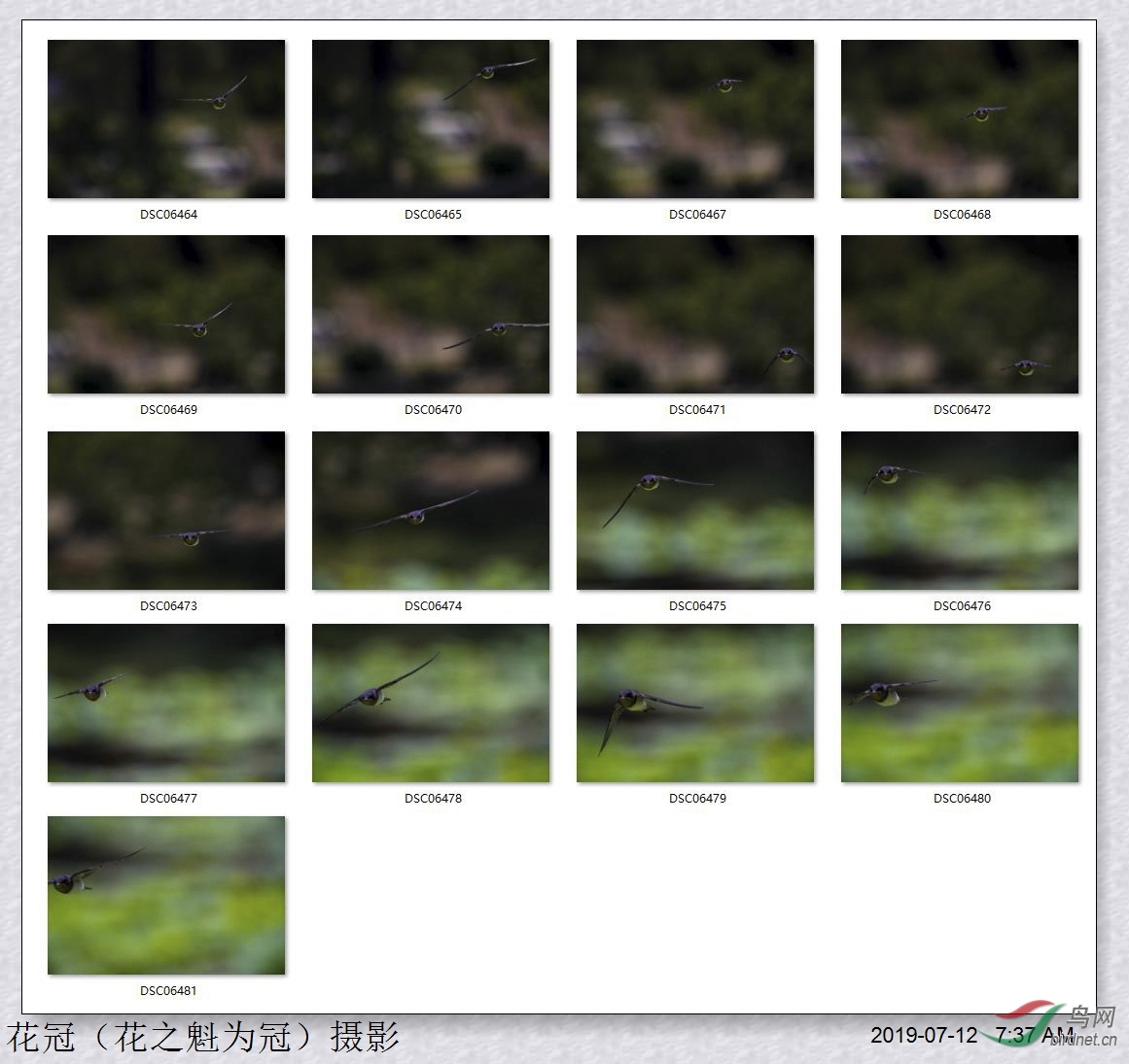 140GM 2X�����ֳ�����17�ż���ӭ��ɰ�����ͼ��ͼ_����.jpg