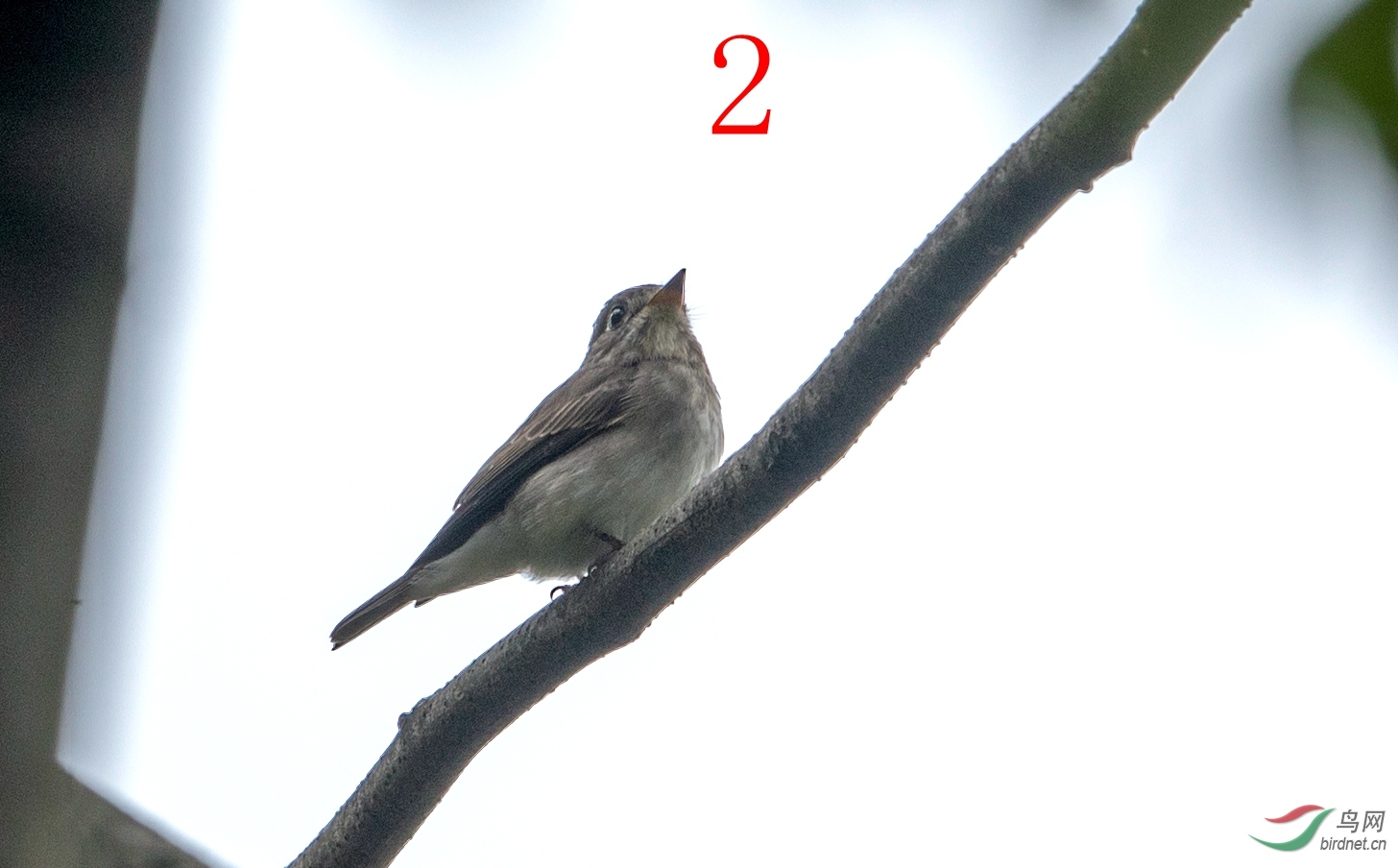 HXZS7830_����.jpg