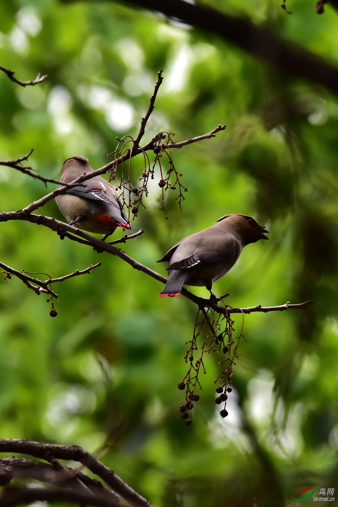 DSC_0334.JPG