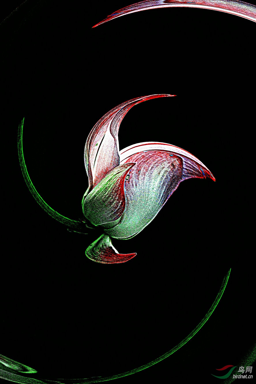 AQ1I7166_����_����2_����.jpg