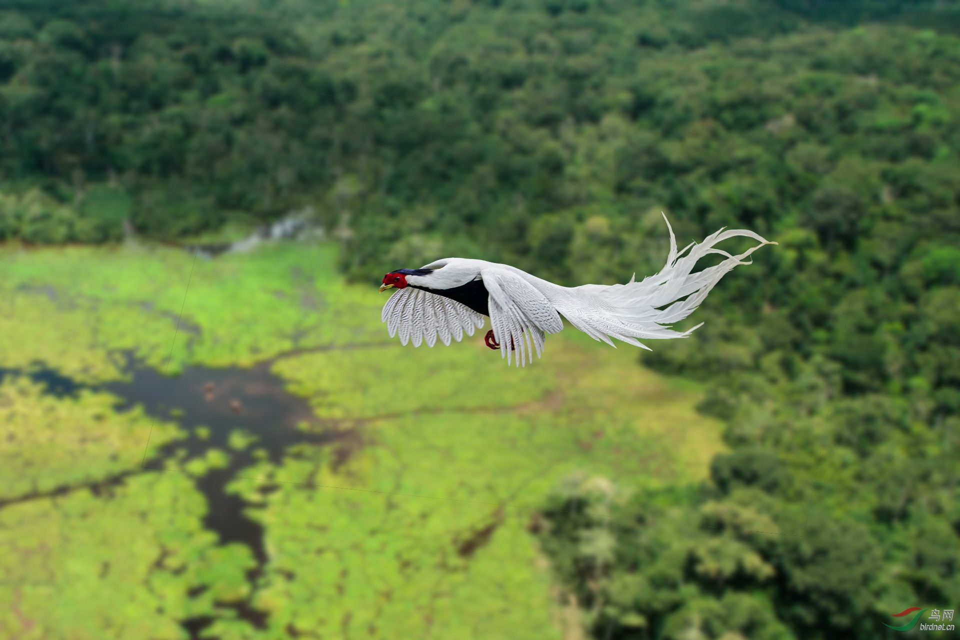 ��������25 ���� 1920x500k.jpg