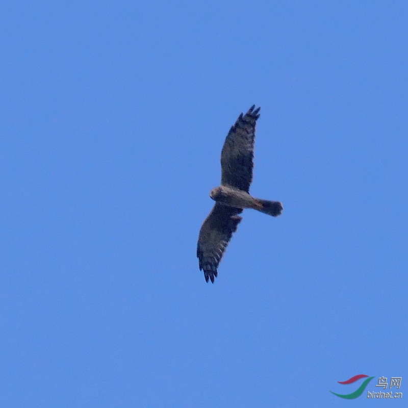 P5490708 - ����.JPG