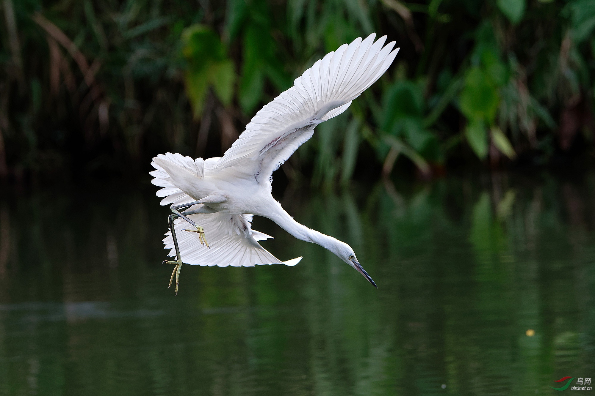 DSC_2280.jpg