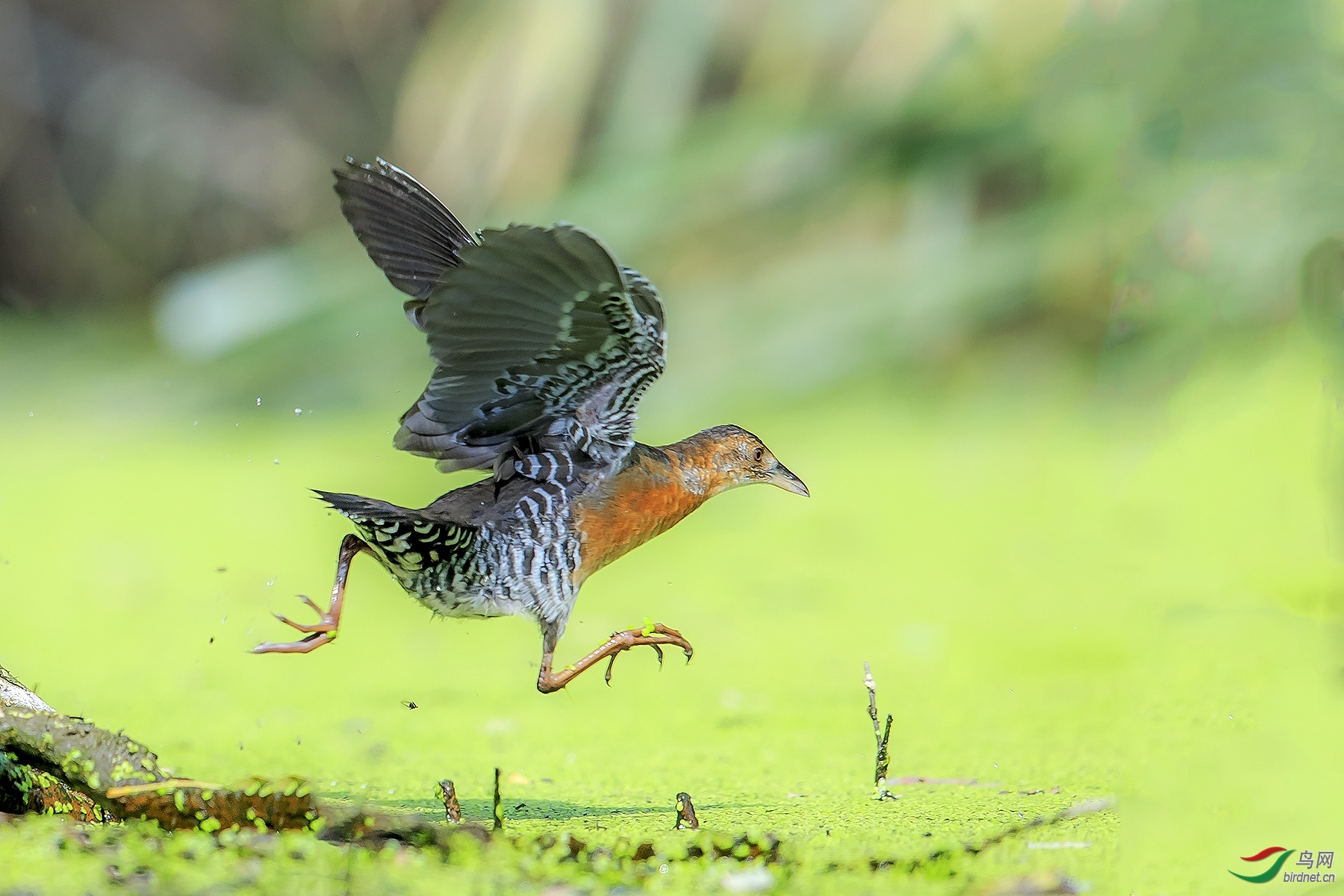 ����55 ��ʦ����������ʡ������.jpg