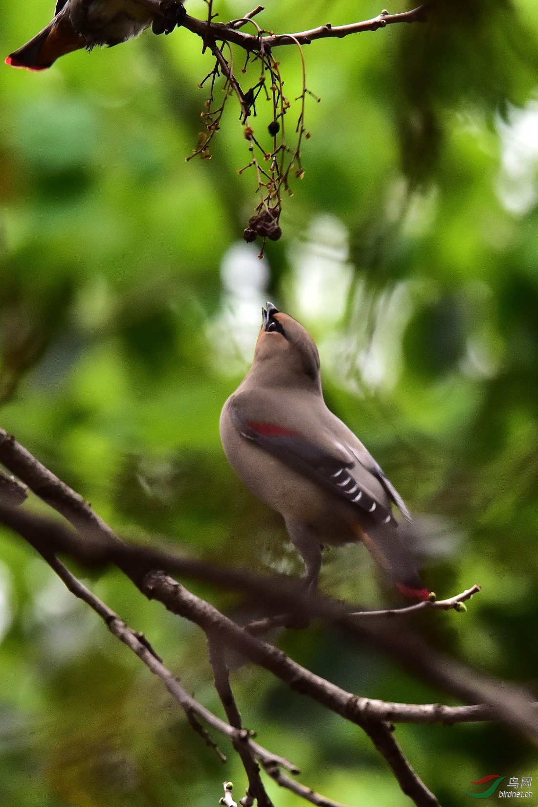 DSC_0347.JPG