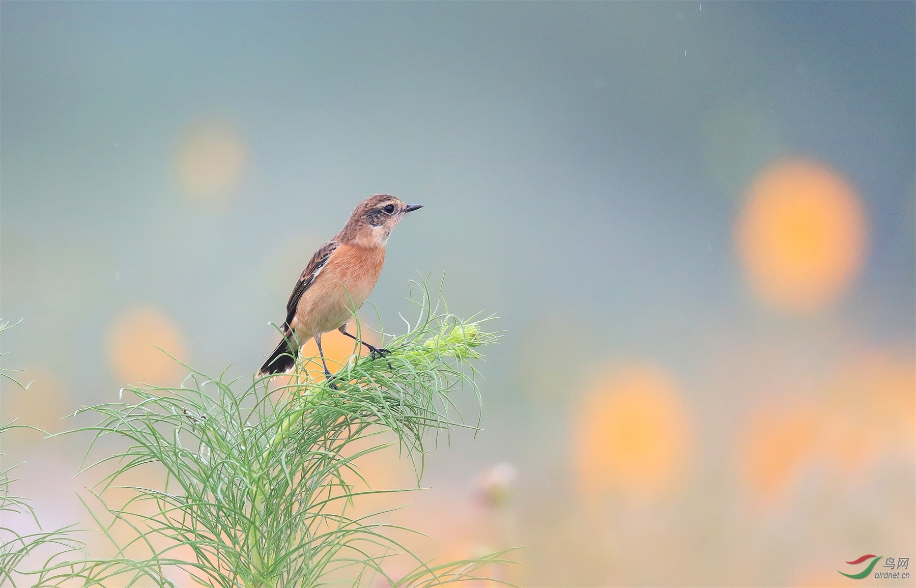 2 - ����.JPG