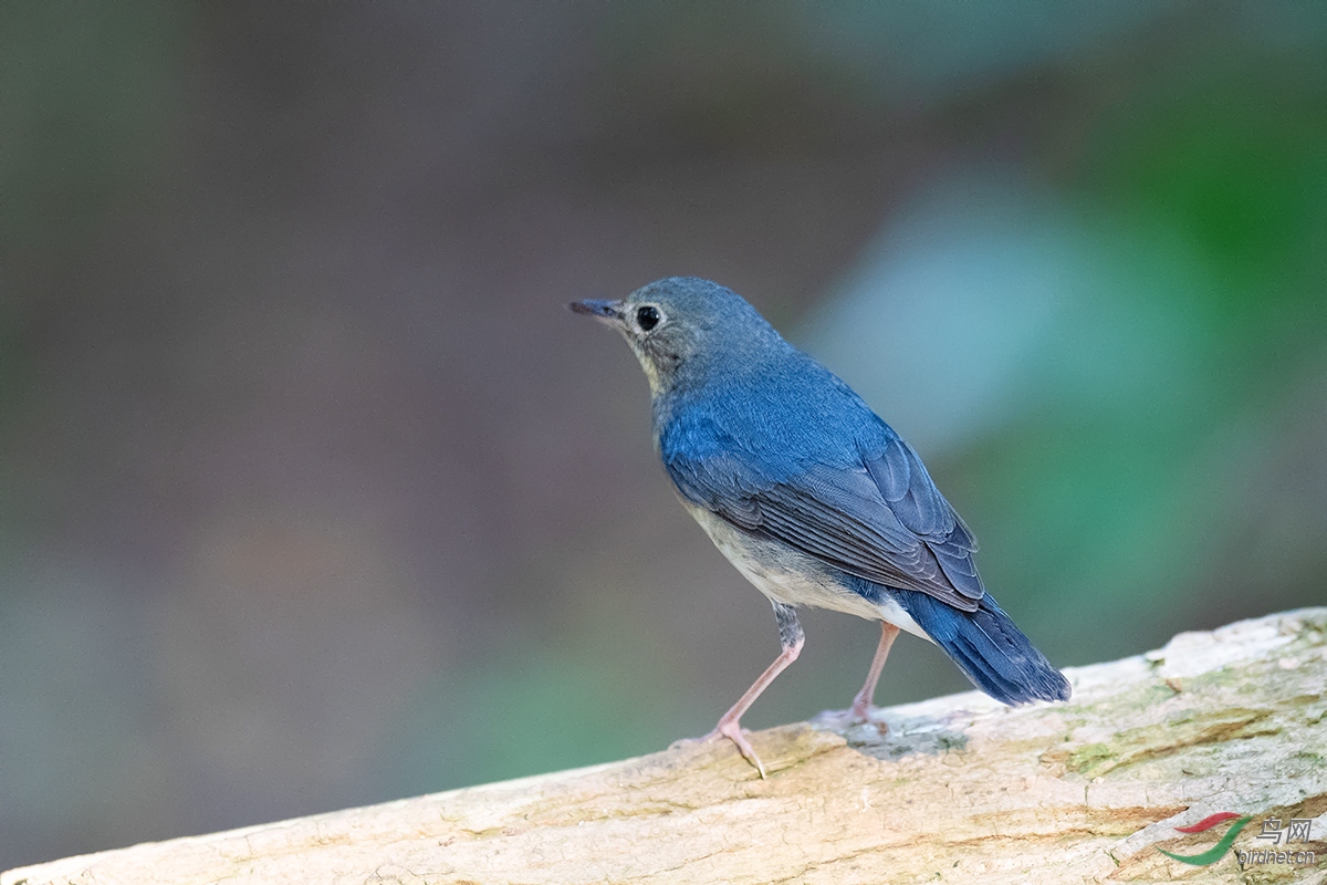 DSC_p2676.jpg