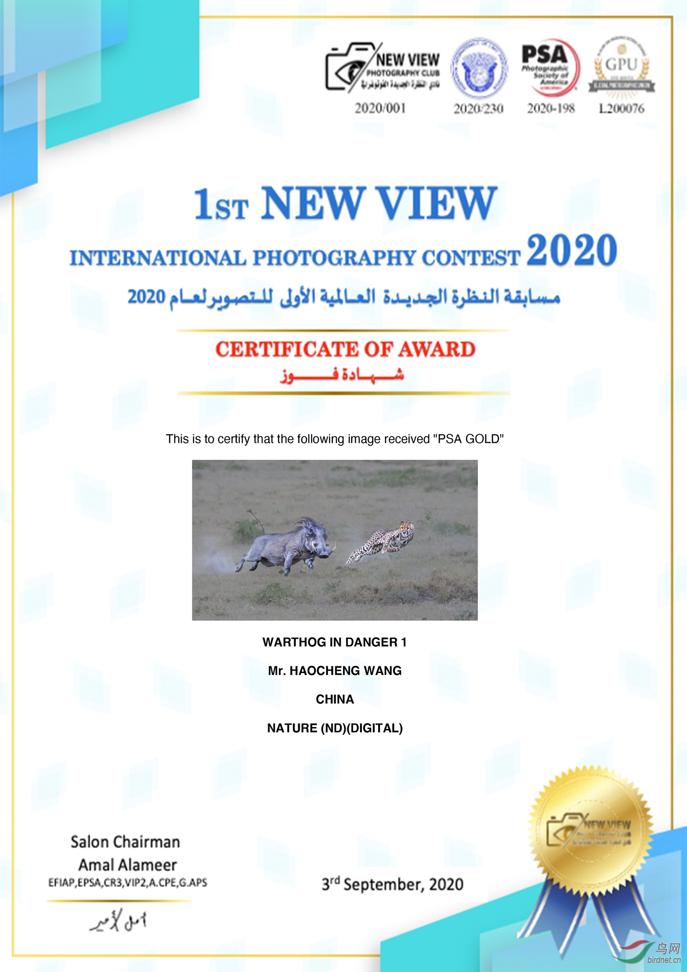 ���ó�PSA���� ����.jpg