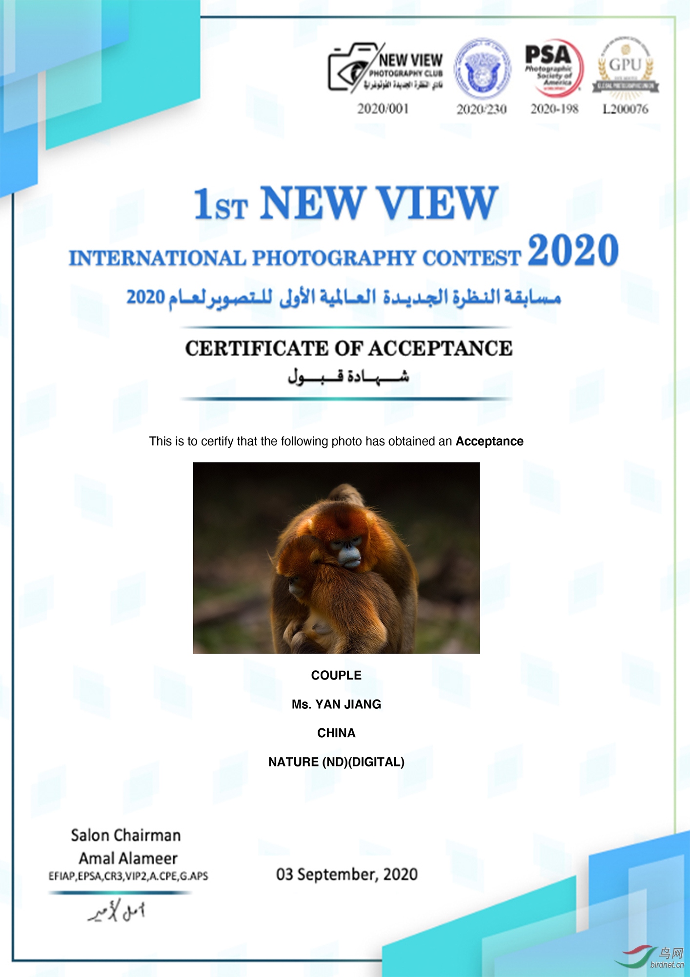 姜雁入围3 拷贝.jpg