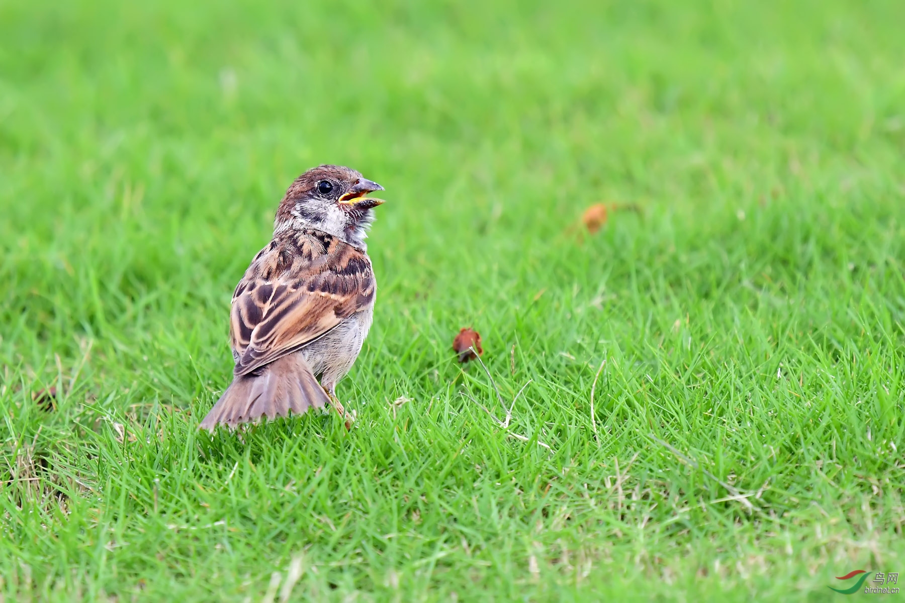 DSC_1870.jpg