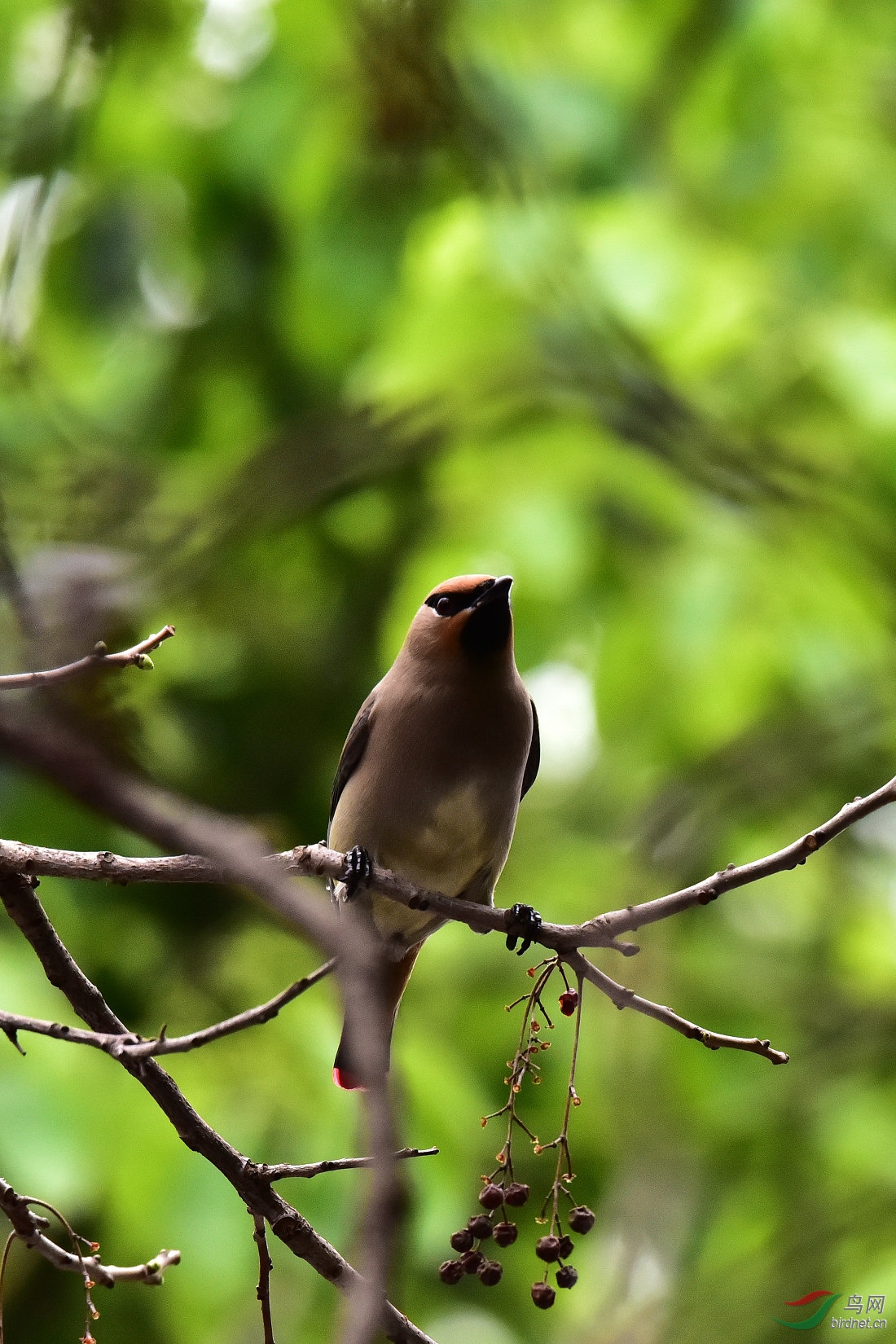 DSC_0354.JPG
