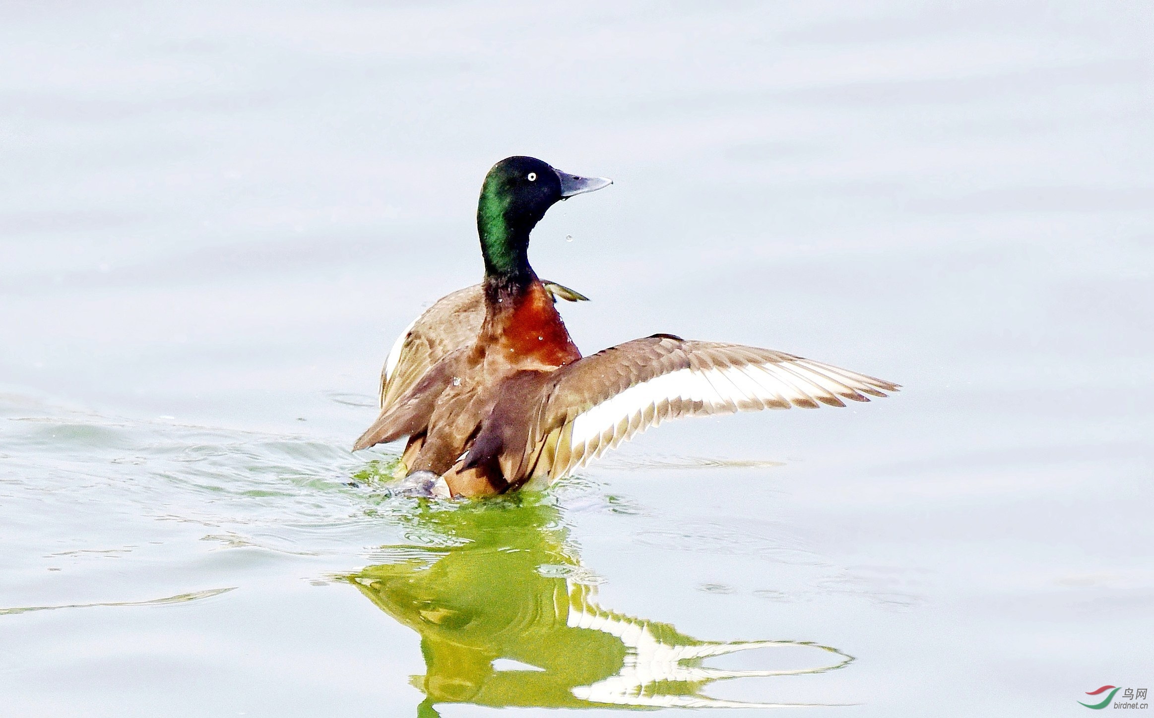 DSC_6589_conew9.jpg
