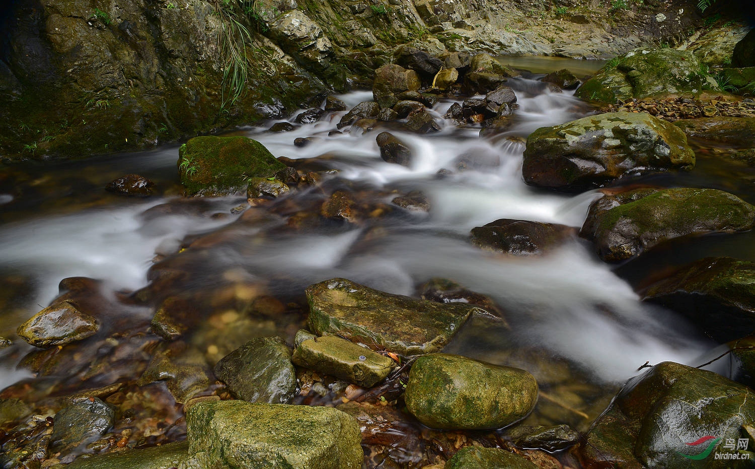 D8I_3426.jpg