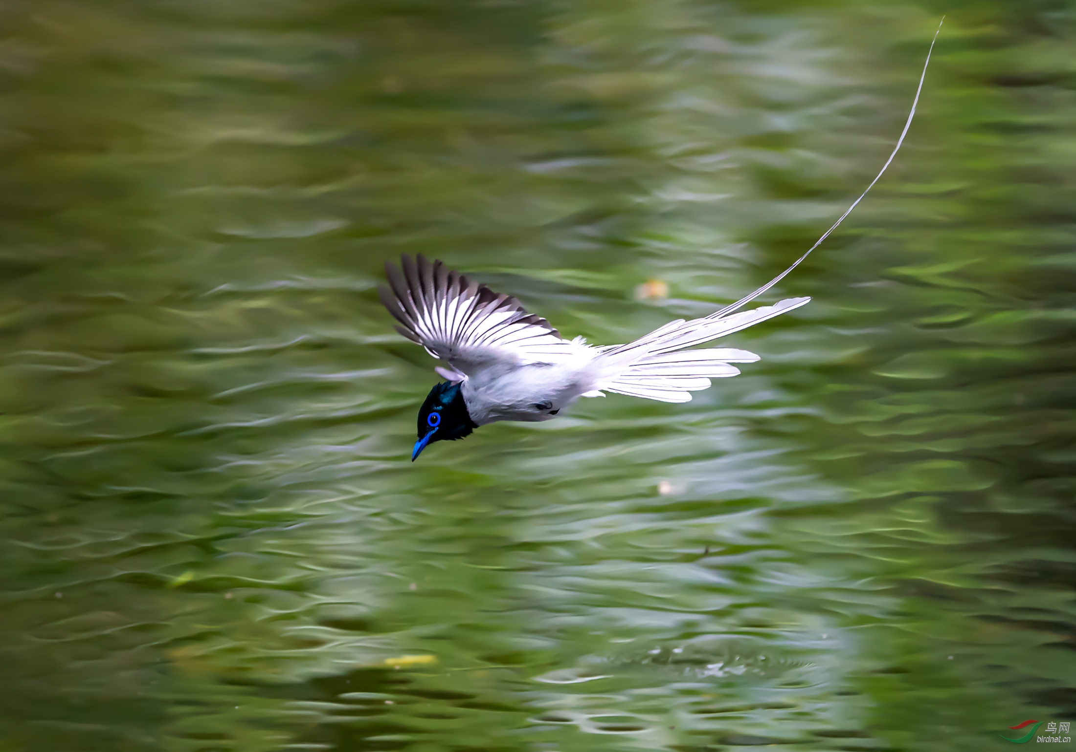DSC_1479f.jpg