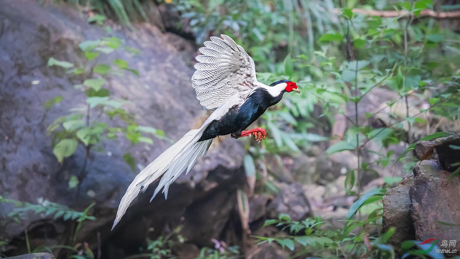 图片10.jpg
