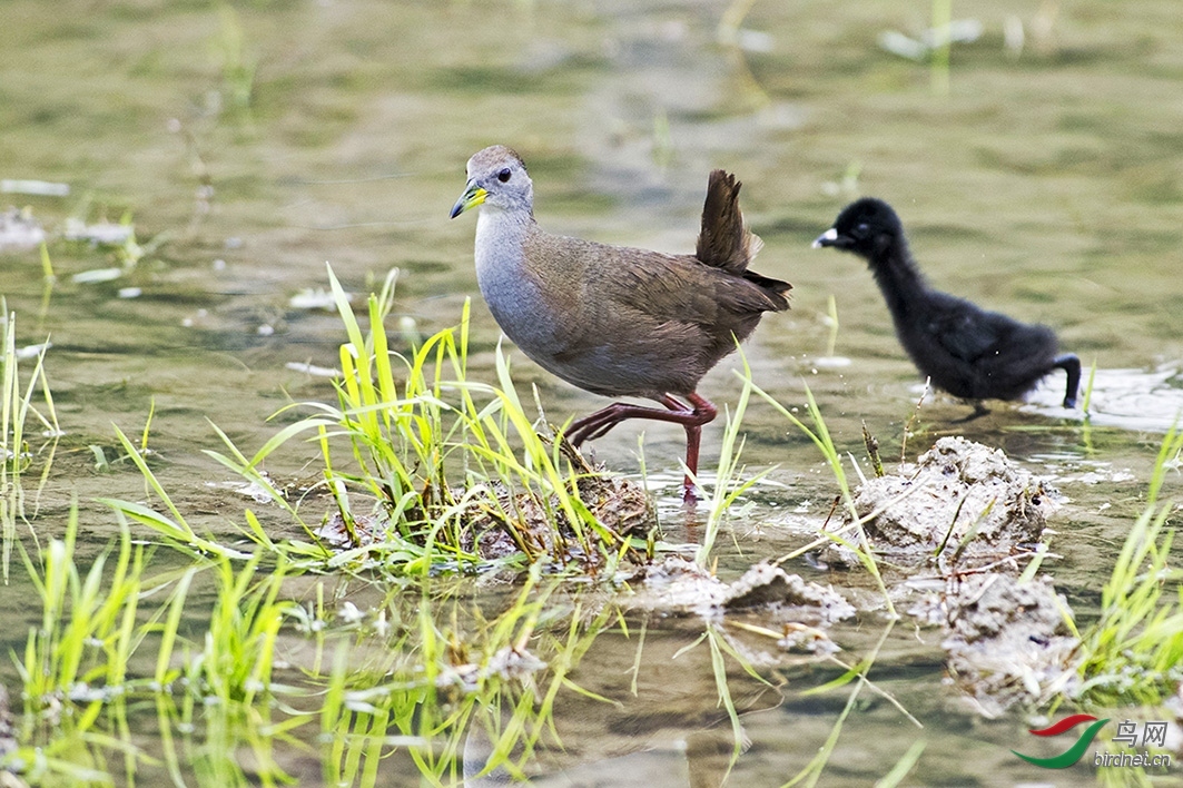 �ٺ���� ��ʦ�����ڹ㶫ʡ�ع��� ��Դ���������� .jpg