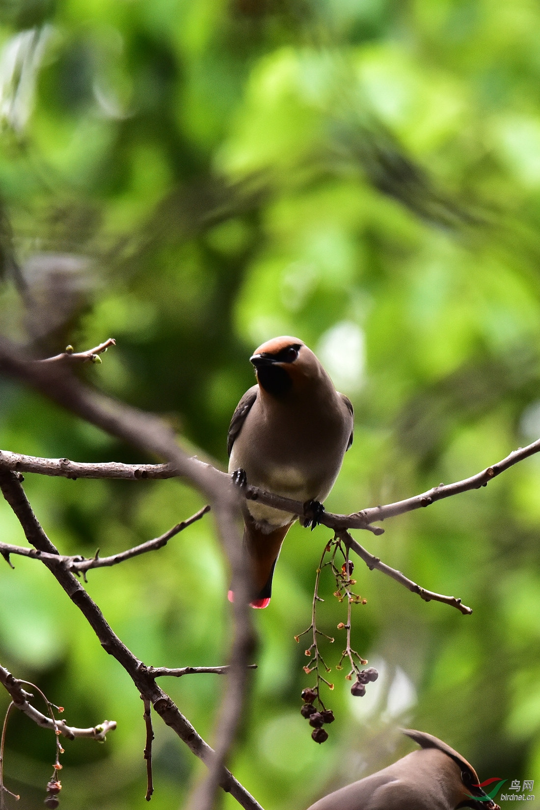 DSC_0358.JPG