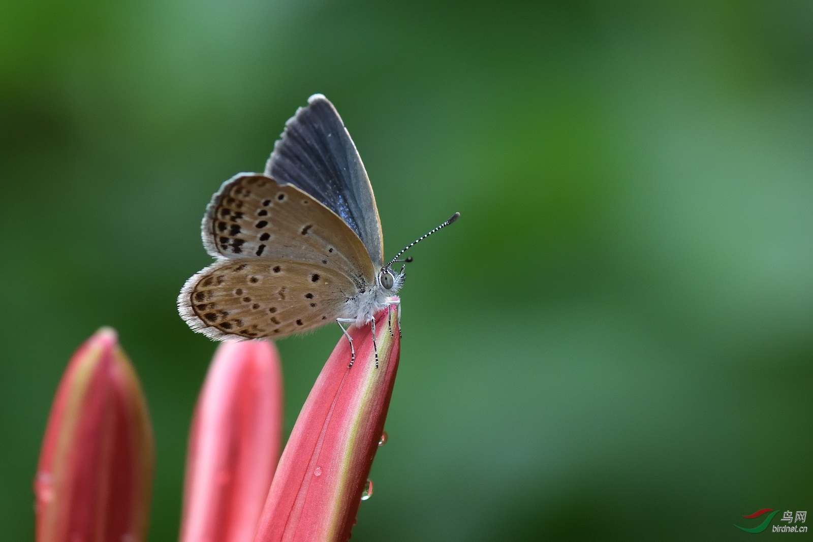 DSC_8559_00008.jpg