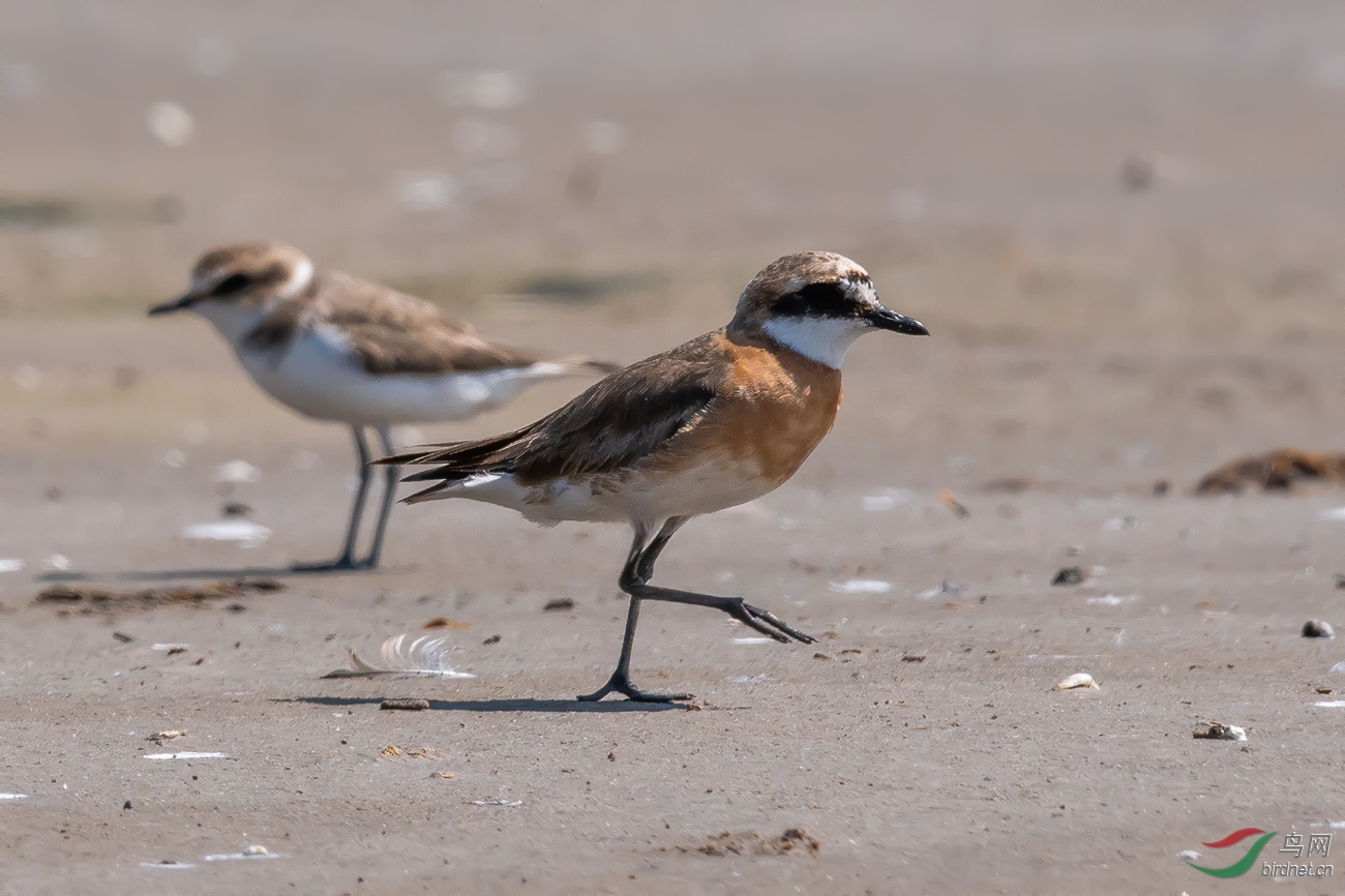 DSC_5633---.jpg