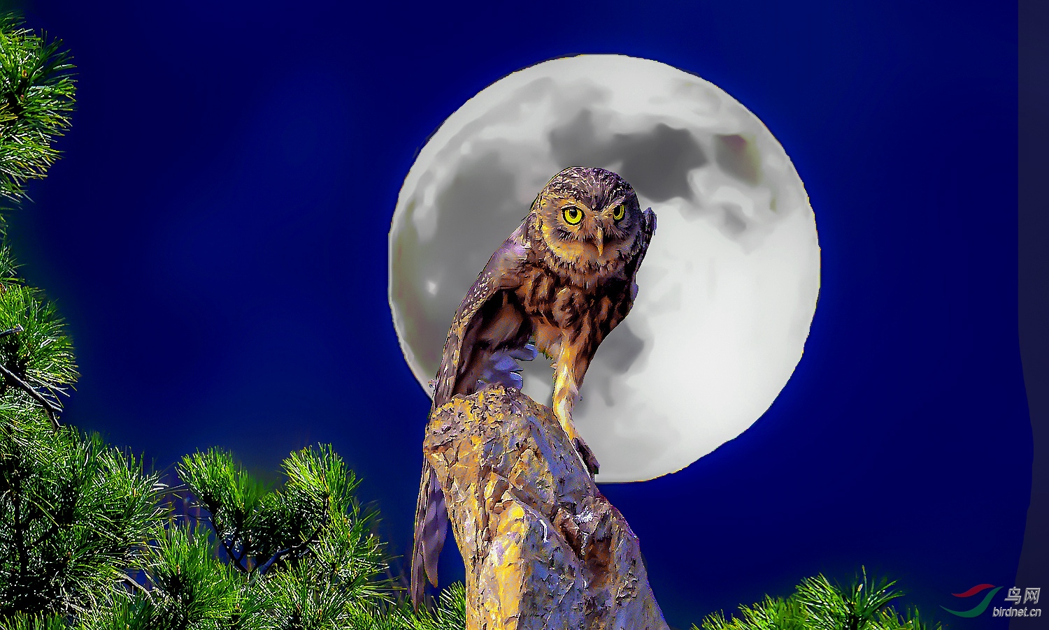 DSC_6906 (7)_����_����_����.jpg