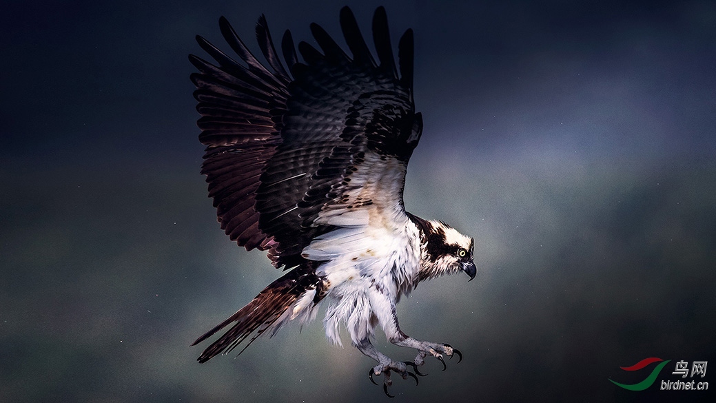 8-A30V7818-1 ��.jpg