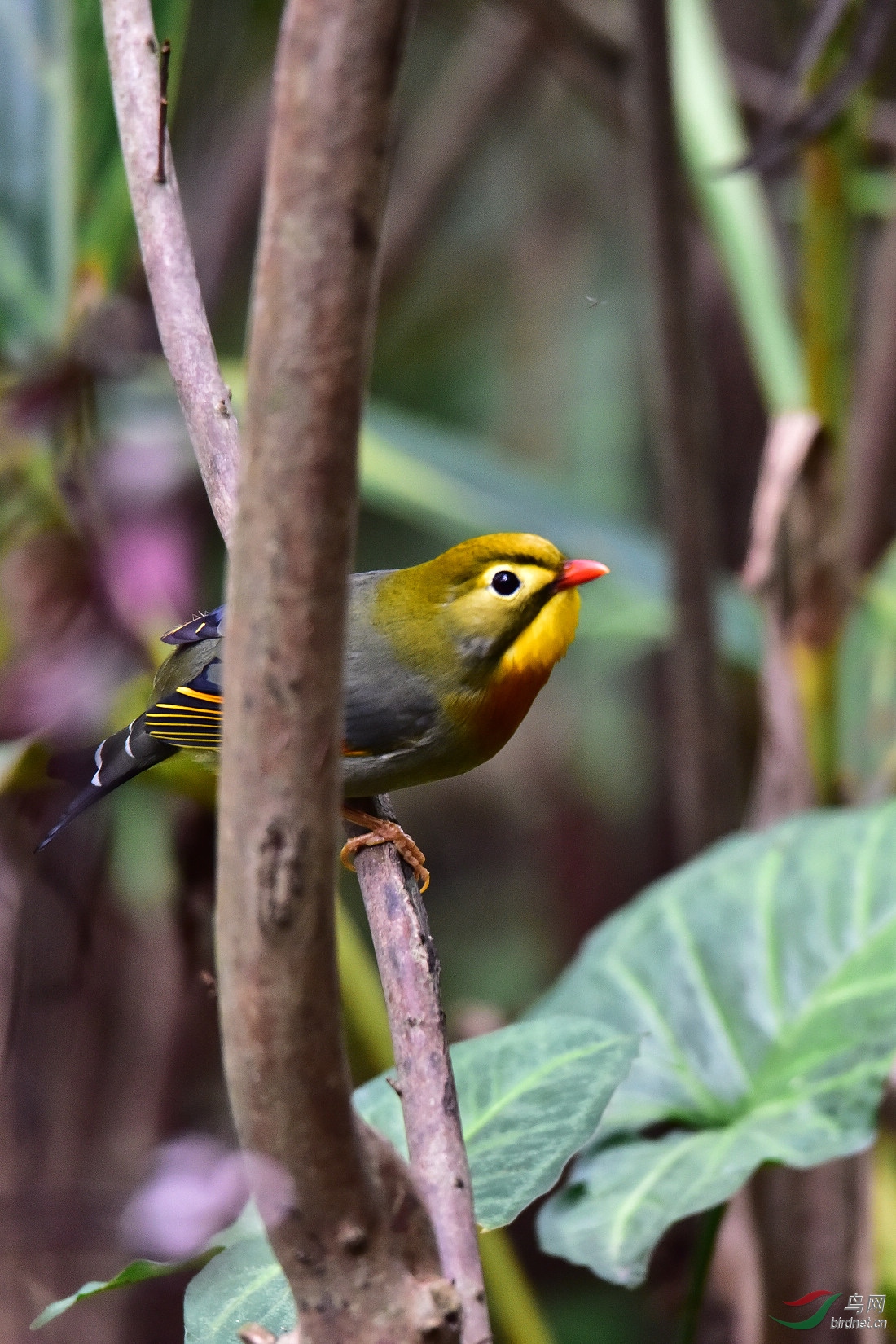 DSC_0362.JPG