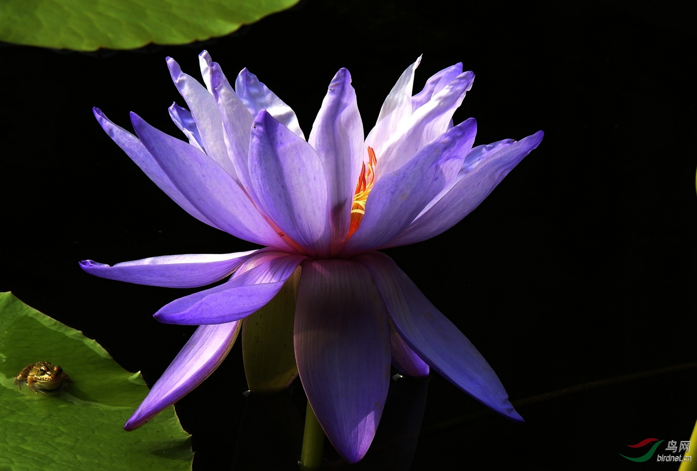 DSCN0032.JPG