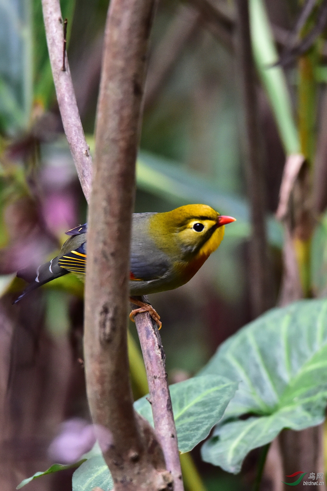 DSC_0363.JPG