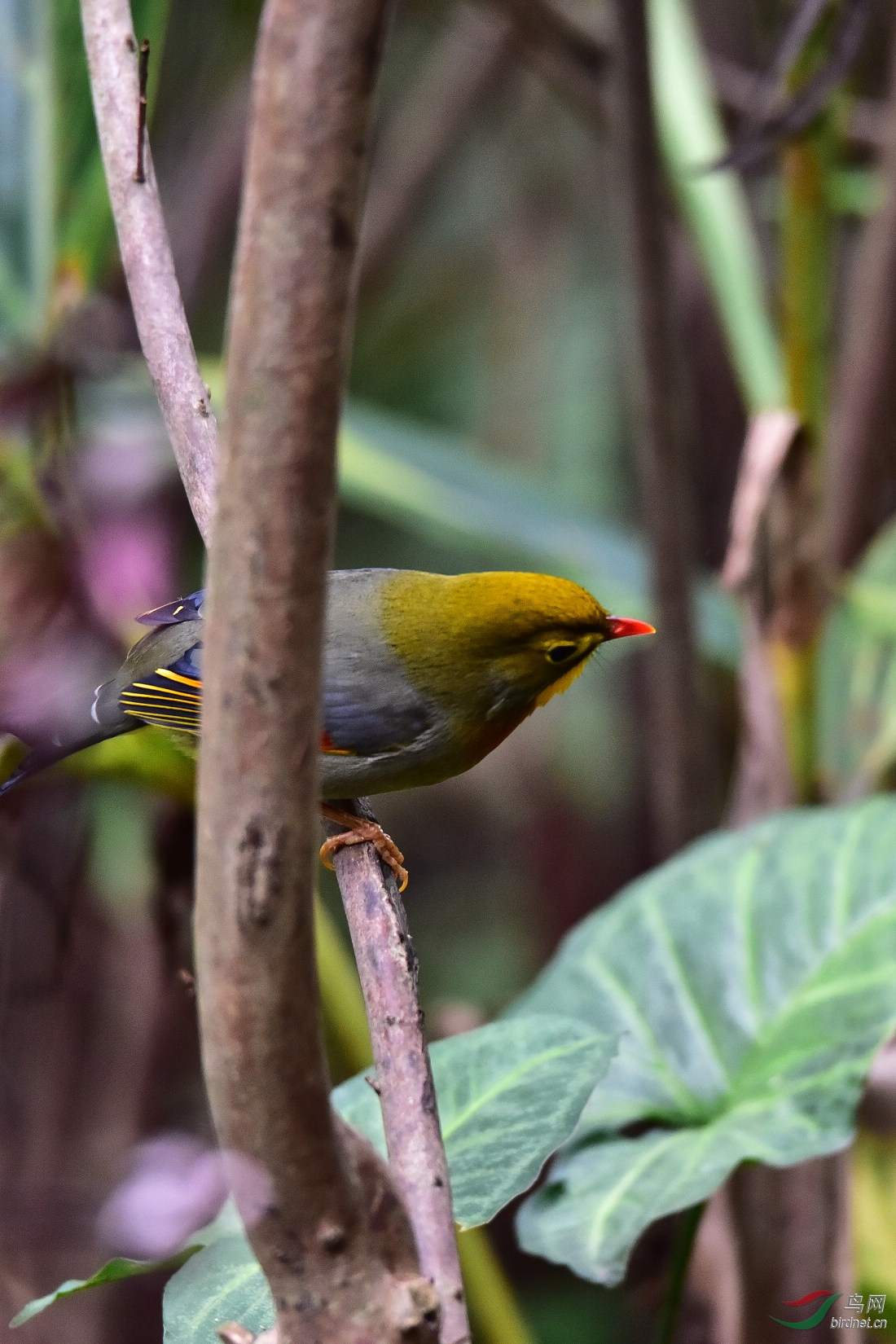 DSC_0364.JPG