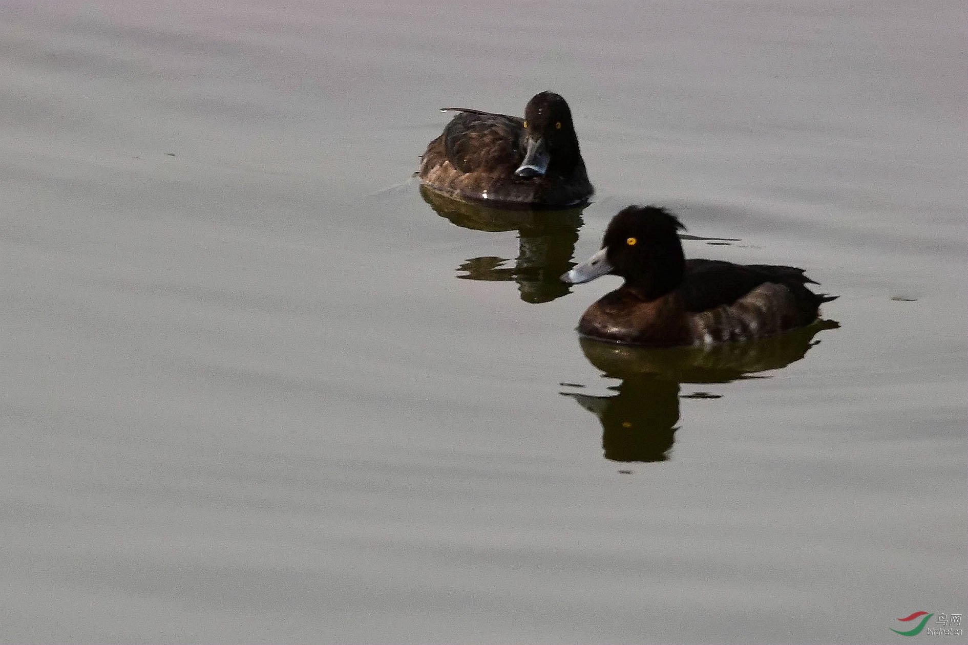 DSC_5806_����.jpg