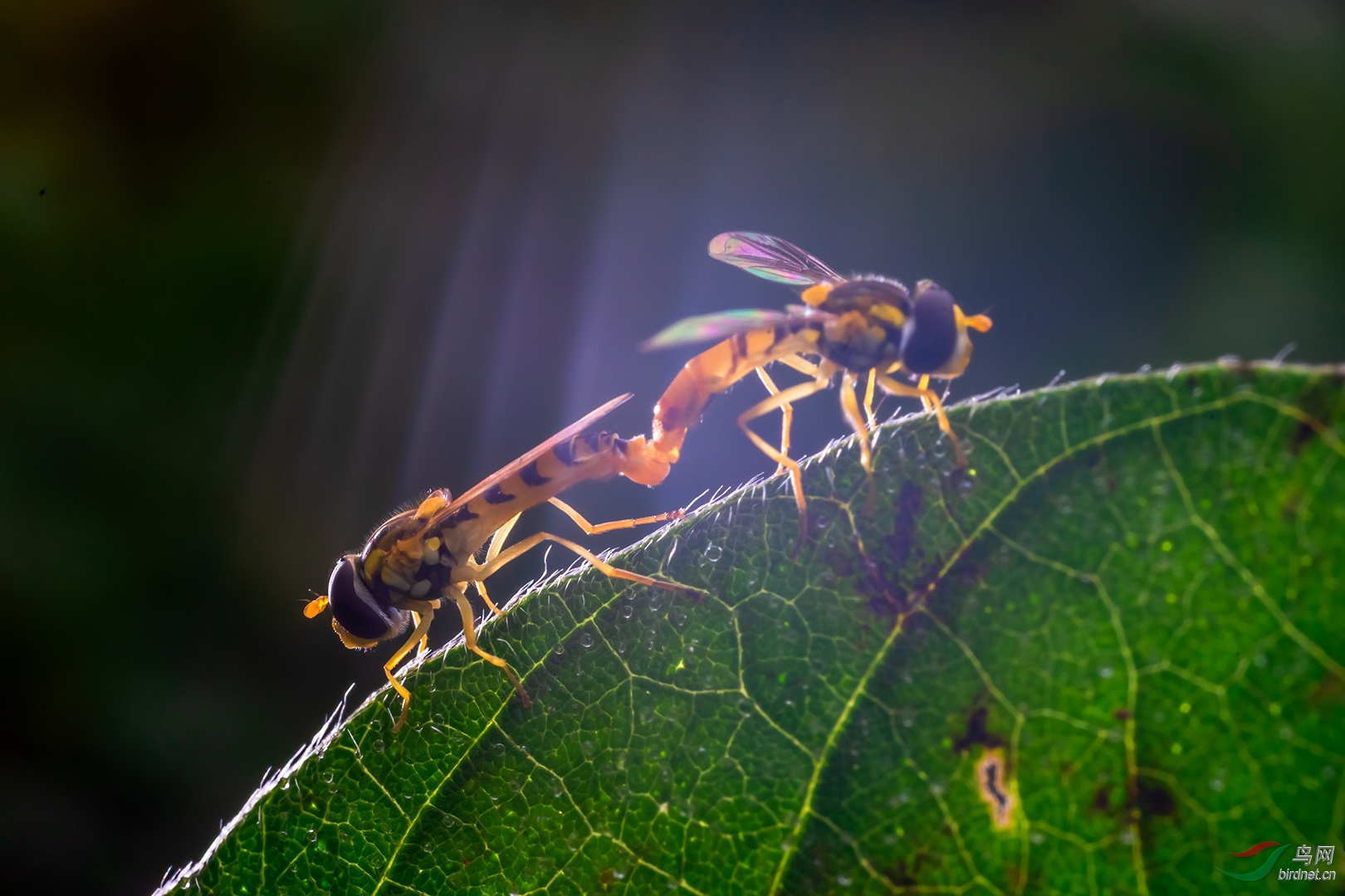 ����ʱ��-1080.jpg