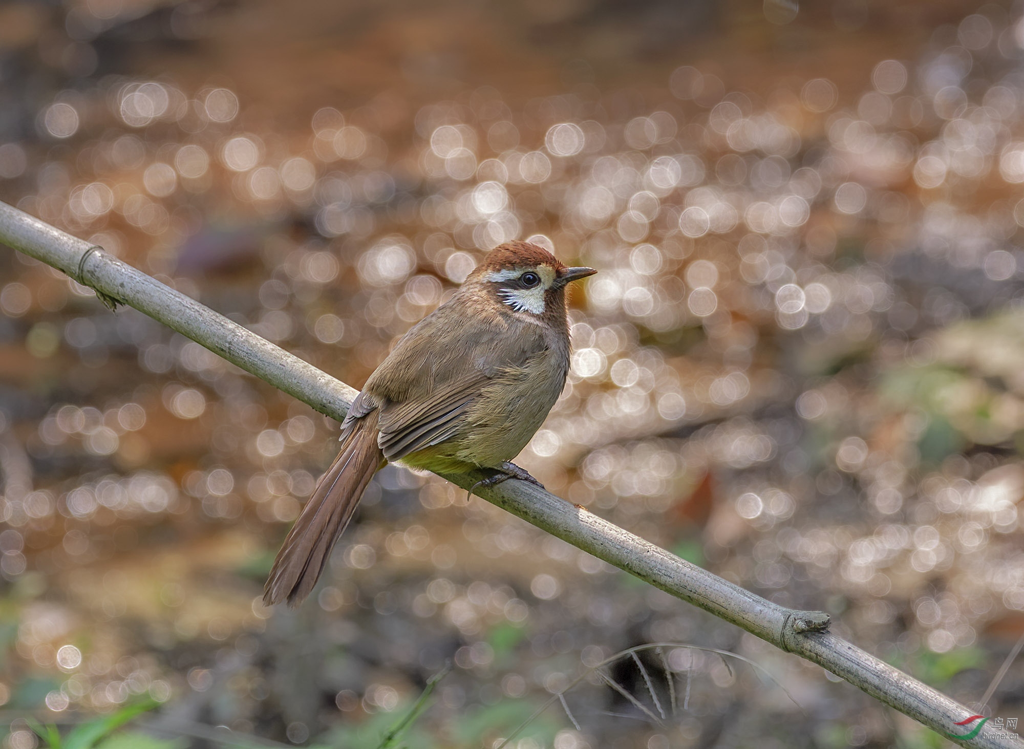 DSC_5798.jpg
