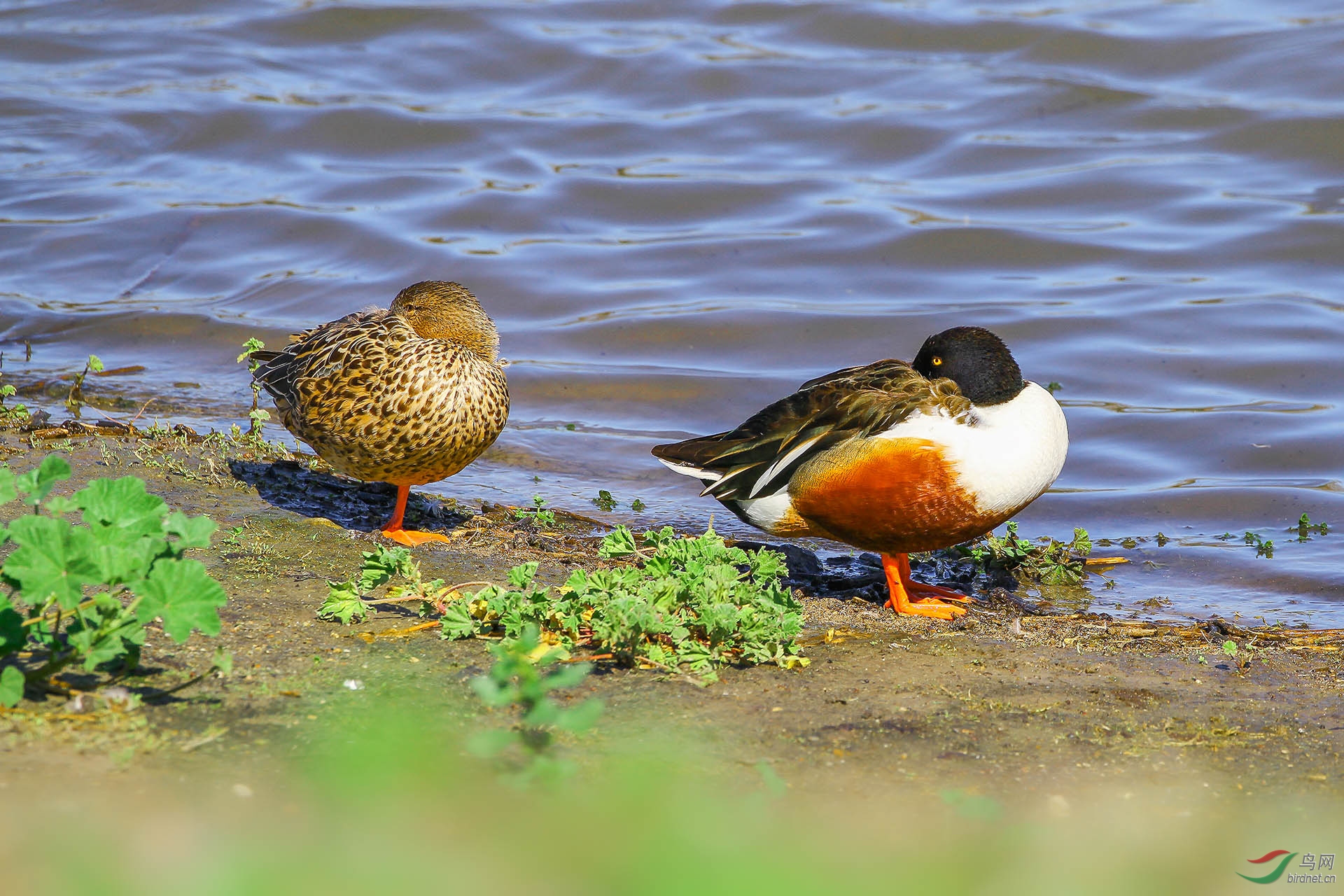 IMG_7297.jpg