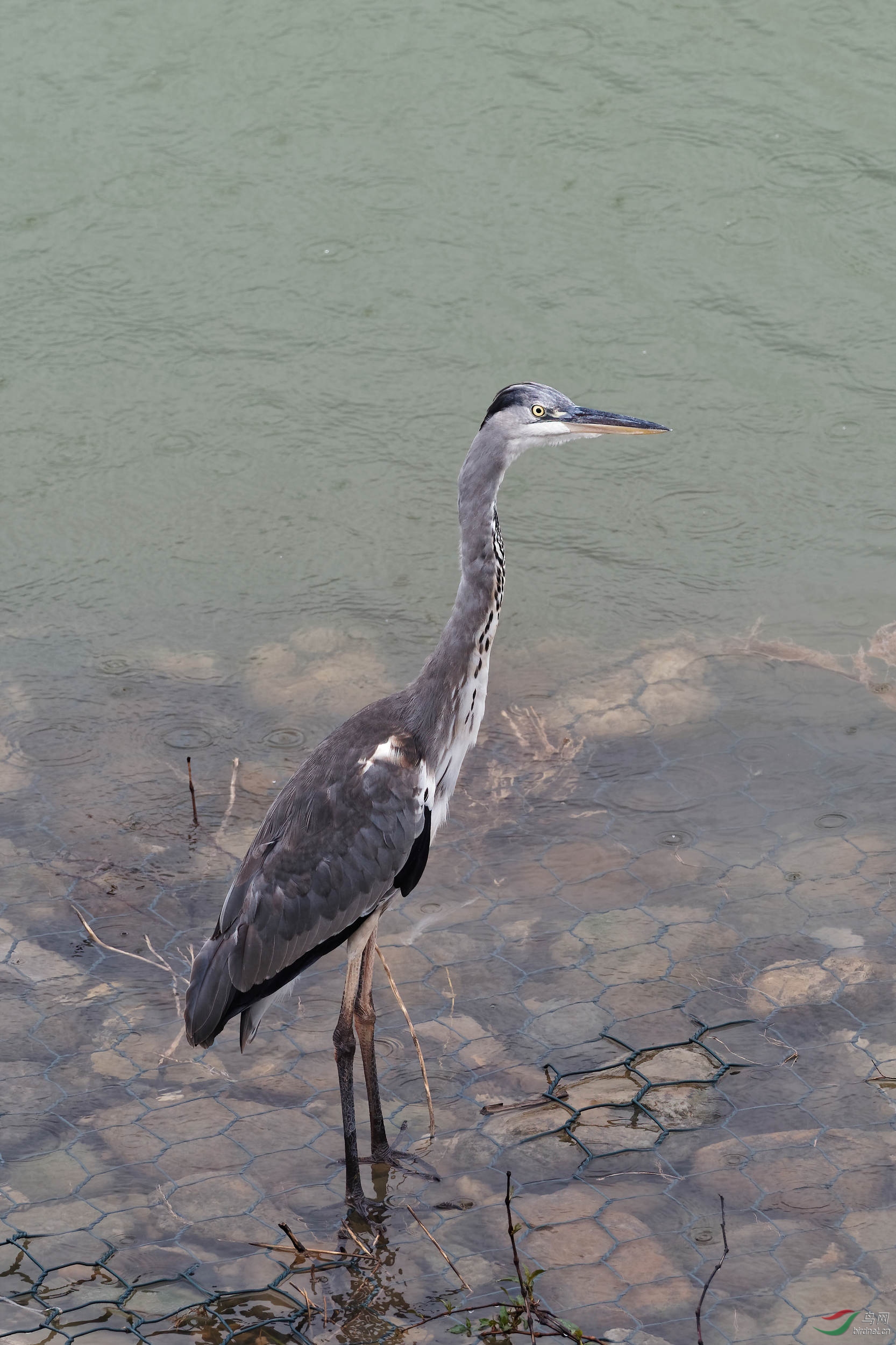 P9130076_DxO-1.jpg