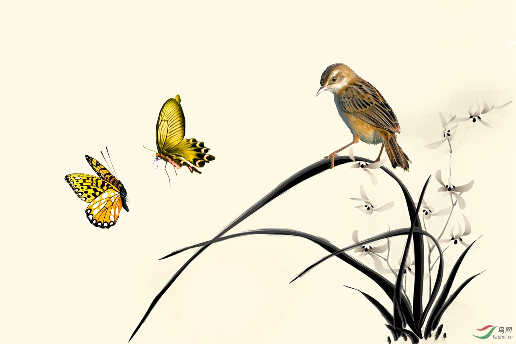 8946c5d3968ed8b197c8c45265d2b48c (4)_����.jpg